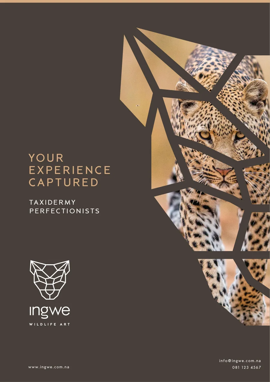 Ingwe Taxidermy geometric wildlife logo and editorial identity system